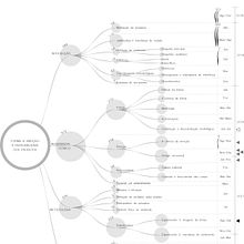 Meu projeto do curso: Visualização de dados e design de informação: crie um modelo visual