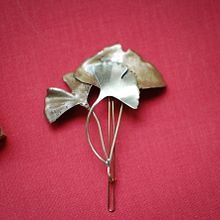 Joyeria botánica