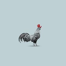 Otoño e Invierno en Corral de García (El Gallo y la Hoja; El Gallo y el Guante)