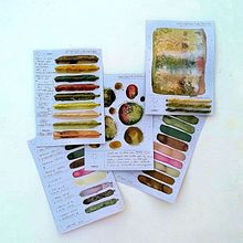 Il mio progetto del corso: Tintura naturale di filati