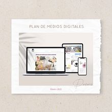 Plan de medios digitales. By: Angi Downes