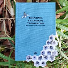 Chapulines, escarabajos y otros bichos - Libro pop up / artista