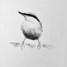 Charcoal