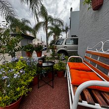 Mi proyecto del curso: Diseño de espacios verdes para tu casa