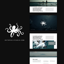 My project for course: Presentation Design: Create a Professional Template