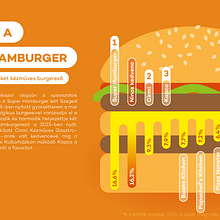 Infographic editorial design for a hungarian survey 