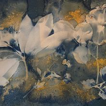 My project for course: Cyanotype: Printing with Light