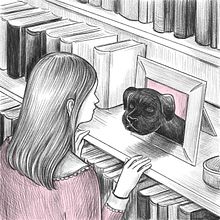 Animated illustration for The Washington Post