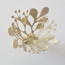 A Flower From Every Scar 