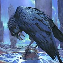 Augury Raven