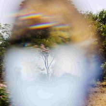 Il mio progetto del corso: Introduzione alla fotografia di strada