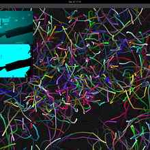 My project for course: Creative Coding: Immersive Art with openFrameworks
