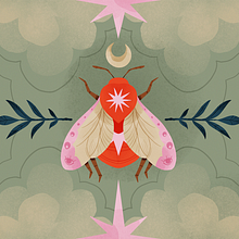 Fardaus - Branding & Illustration