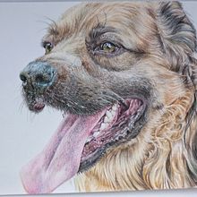 Mi proyecto del curso: Retratos de Mascotas en Lápices de Colores