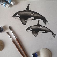 Mi proyecto del curso: Técnicas de ilustración naturalista: ballenas en acuarela