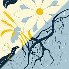 Antipode - A journey of opposites