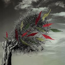 Mi proyecto del curso: Introducción al fotobordado: crea imágenes con textura