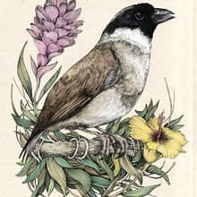 Extinction Obituaries