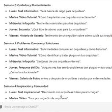 Mi proyecto del curso: Usar Chat GPT para trabajar