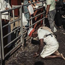 Día de San Lázaro en Cuba , Fé y Transculturación