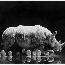 The planning behind 'Rhino in the mud' drawing