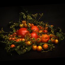 Mi proyecto del curso: Fotografía de bodegones en claroscuro