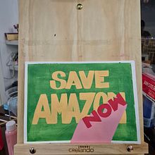 Save Amazon Now