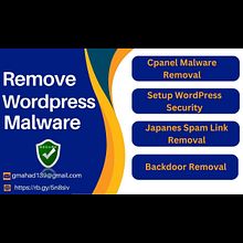 Cyber Security Specialist OSINT Expert WordPress Security