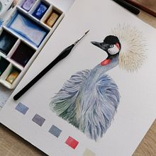 Ilustración Grulla Coronada en acuarela