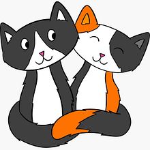 Proyecto de IA diferenciador calicó vs tuxedo