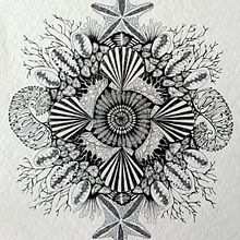 stars above as below