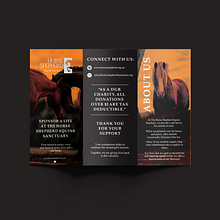 Compassion in Print: A Trifold Brochure for Horse Shepherd Equine Sanctuary