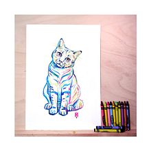 Mon chat arc-en-ciel : découvre les couleurs complémentaires