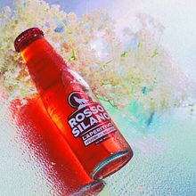 Brand Voice, Personalità del Marchio e Racconto Fotografico X Rosso Silano