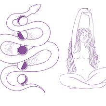 Web y marca creación - loba violeta