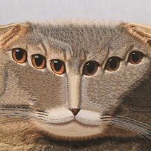 Cats, 2024, 2025