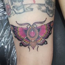 Pearl Moth
