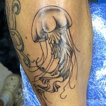Jellyfish Flow – Tatuaje de medusa en estilo black and grey