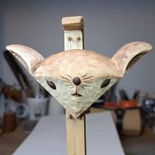 Raposa costeira