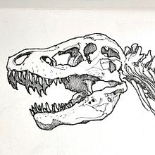 Proyecto Final Crosshatching