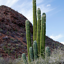 casa en ele desierto