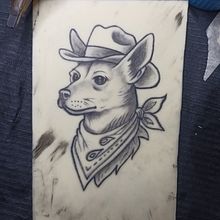 Perro vaquero 