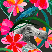 Floral Illustration by Malin Gyllensvaan