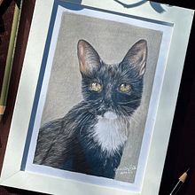 Projeto Final Curso Realismo de Pets