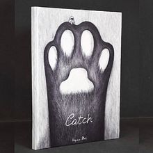 Libro ilustrado “Catch”