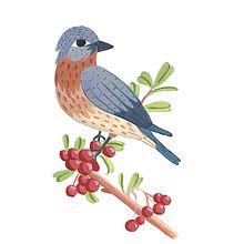 Gouache illustrations