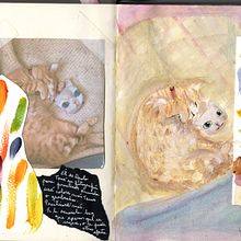 Gatuno experimental, un sketchbook de prácticas en acuarela