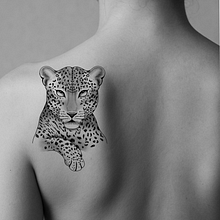 Onça pintada 