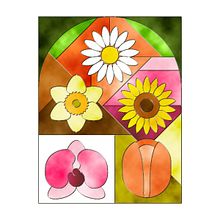 Ilustración digital (edición coleccionista)