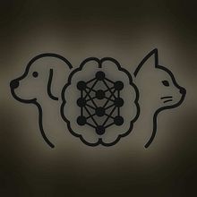 Clasificador de Imágenes Gato vs. Perro para Aplicaciones Veterinarias